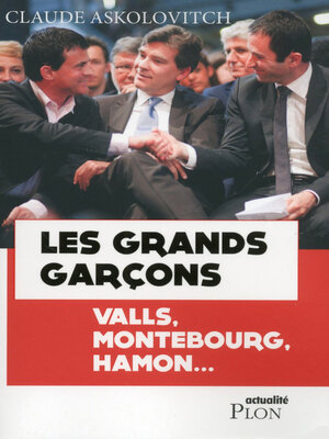 cover image of Les grands garçons